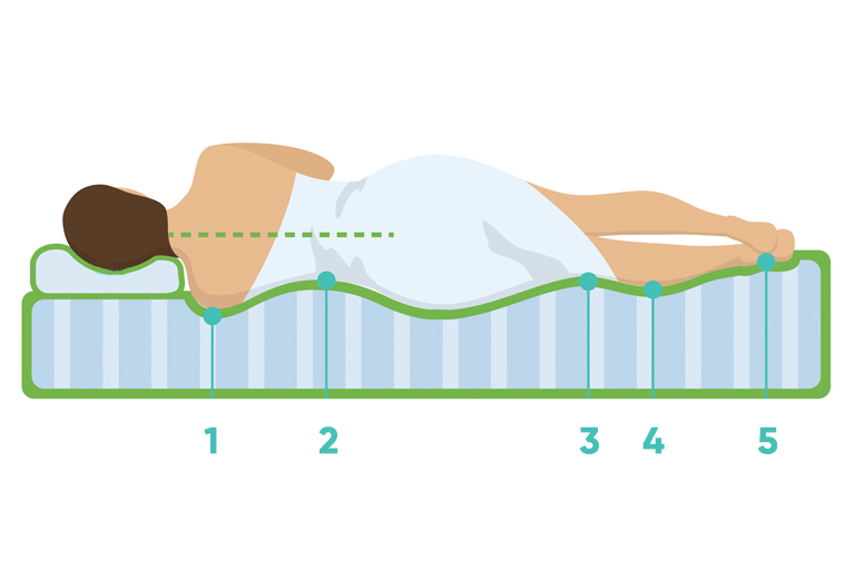 5 anatomiskās zonas