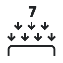 7 anatomiskās zonas