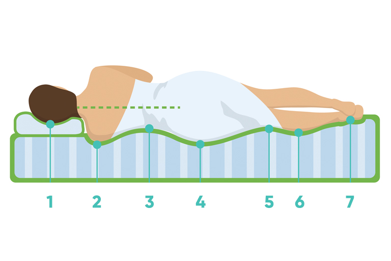 7 anatomiskās zonas