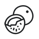 Kokosšķiedras slānis